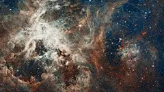 绚丽星空高清动态壁纸
https://www.macz.com/desk/1986.html?id=NzY4OTU4Jl8mMjcuMTg2LjEyNC40MQ%3D%3D