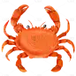 手绘海鲜大螃蟹元素