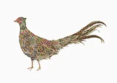 【叶的升华： Helen Ahpornsiri树叶拼贴精美插画作品】
—— 艺术家及插画师 Helen Ahpornsiri 创作出令人难以置信的压制蕨类植物插图。蕨类植物细小的茎和叶子被细心地安排在纸上，创造出蝴蝶、蜻蜓、海马以及鸟类等动物,每幅插画作品需耗费数百片压缩树叶。更加不可思议的是，一些插画作品甚至仅有硬币、铅笔头大小，其精细程度简直让人叹为观止。