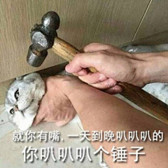 猫小懒灬采集到笑skr人表情包