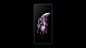 01_Feather_04_DS_v12_01