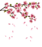 蜜图图片提取