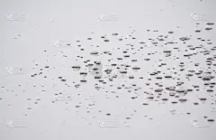 水,泡泡,水平画幅,无人,干净,白色,海浪,从容态度,清新,地平线