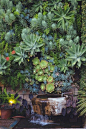 植物墙。 ​​​​