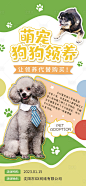 宠物领养海报-素材库-sucai1.cn