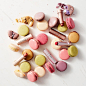 Fresh (@freshbeauty)的Instagram主页 · Tofo.me · 中文Instagram网页版