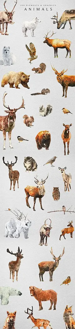 冬季雪花圣诞节手绘水彩装饰插画贺卡片明信片设计PNG免抠图素材