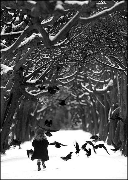 Ravens Wood, Warsaw,...