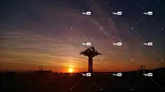 伊兹密尔 太阳 爱琴海 Windows壁纸 土耳其 桌面背景