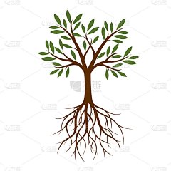 有根的颜色树。矢量插图。