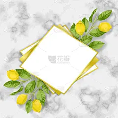 经典大理石模板与柠檬早午餐