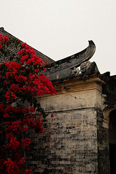 zhoukuaile采集到风景