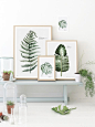 Gorgeous Botanic Art Prints - to buy.: 