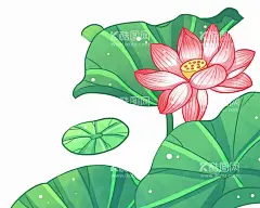 手绘荷花  - 源文件下载【酷图网】手绘荷花,荷花,荷叶,手绘荷叶,国潮荷花,古典荷花,古风荷花,中国风荷花,手绘古风荷花,荷花插画,荷叶插画,荷花荷叶插画,荷花素材,中国风,夏日素材,夏天,