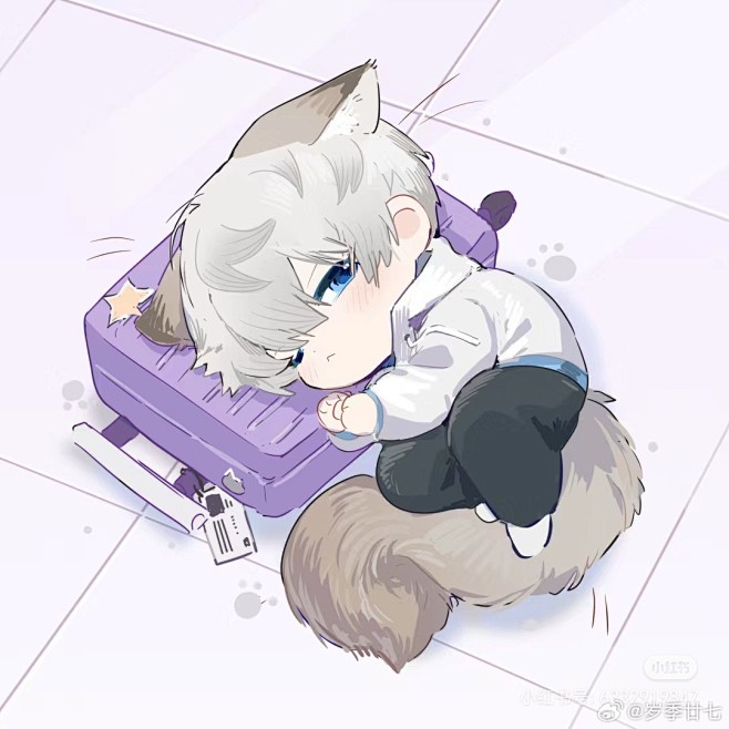 沈星回