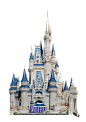 Cinderella_Castle_2013_Wade