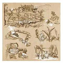 茶园山水茶叶花茶茶壶叶子采茶插画平铺包装 AI矢量设计素材