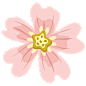 Creeping Phlox-02