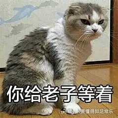 #撕逼大战表情包】贱萌贱萌的好喜欢#搞笑#QQ表情#逗比
