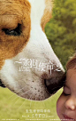 2019美国《一条狗的使命2 A Dog's Journey》