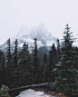 photosbygriffin:
“North Cascades. Edited with one of my presets. Now available on iOS at: prii.me/griffinlamb
”