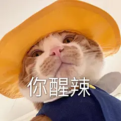 【图片】熊仔仔收藏表情包头像绝佳得给赞【女头吧】_百度贴吧