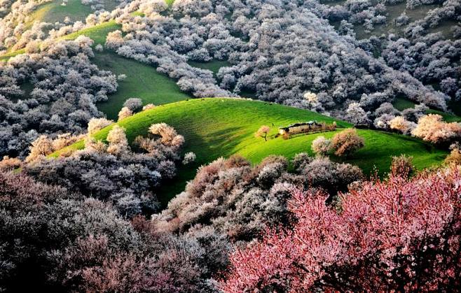新疆杏花沟