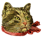 复古猫