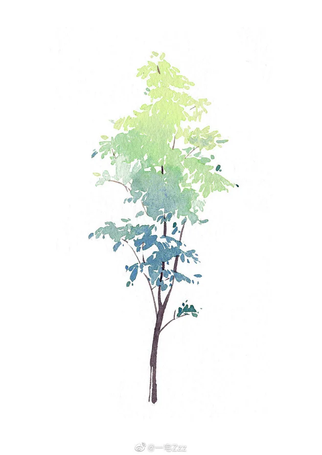 手绘树-花瓣网