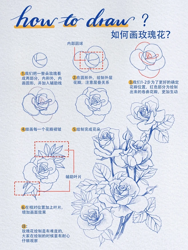 如何画玫瑰花｜绘画如此简单｜线描速写教程-花瓣网