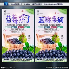 蓝莓采摘海报 蓝莓 蓝莓海报 蓝莓广告 蓝莓水果 水果蓝莓 水果 蓝莓瓶贴 蓝莓展板 蓝莓招贴 水果店蓝莓 蓝莓摄像 蓝莓宣传 蓝莓养颜 蓝莓果汁 蓝莓专卖 蓝莓基地 蓝莓节 蓝莓素材 高清蓝莓 蓝莓标签 蓝莓图片 蓝莓包装 蓝莓采摘 吃蓝莓 美味蓝莓 超市蓝莓 新鲜蓝莓 蓝莓挂图 蓝莓种植 水果 坚果干货 绿色 设计 广告设计 广告设计 300DPI PSD
