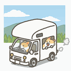 开森6采集到汪~