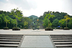 队长的毒箭采集到满陇桂雨