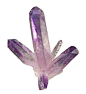 来自墨西哥的紫水晶：莲花绽放。、石头记