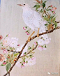 一组赏心悦目的花鸟，这是迎春的节奏！陈仲年花鸟作品