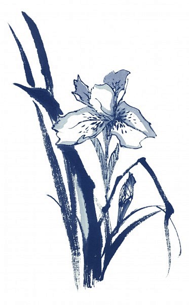 水墨花卉图片