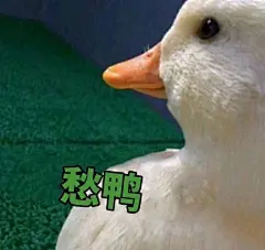 年事已giao 
#giao哥表情包#  
#陆超表情包# ​​​​
