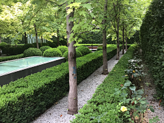 jojo露采集到庭院/花园/室外软装