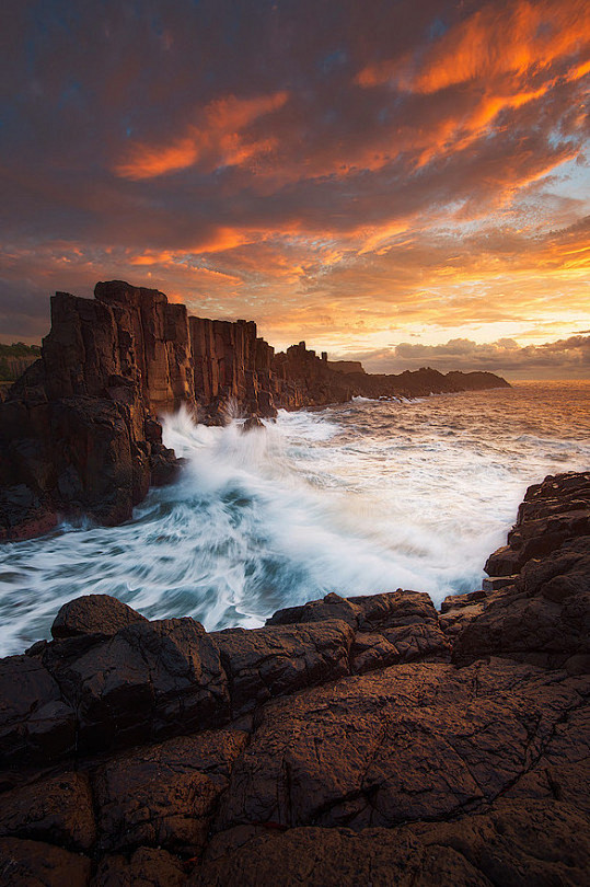 (11) Tumblr