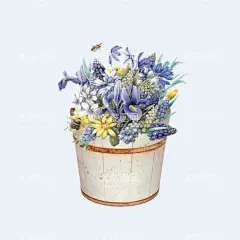 png格式植物花卉手绘素材  - 源文件下载【酷图网】插画,卡通,花型,手绘,盆栽,植物,花卉,素材,插图,花朵,薰衣草,