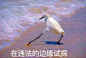 首页 - 知乎