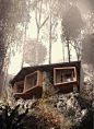 Bukit Lawang Lodge / Foster Lomas