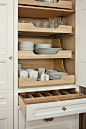 More great storage, preferably built in. I love pull out shelving for easy access. Just make sure to use the sturdy hardware to allow for the weight.: 