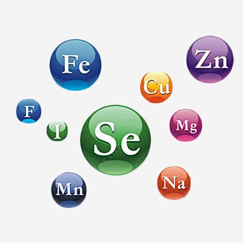 钙铁锌微量元素符号免抠png素材_新图网...