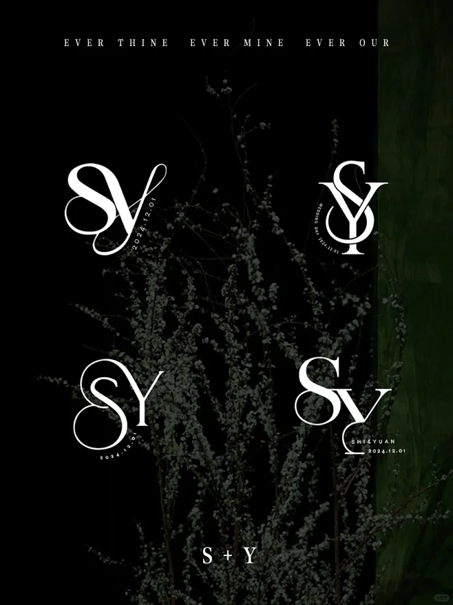 SY字母logo设计｜韩式小众婚礼log...