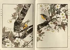这些花鸟画，出自一位日本画家_尾景 : 春秋冬夏，花鸟写生 日本著名的四条派画家。 是在日本汉学家山本章夫先生的指导下开始创作的，天上有月的光晕，芦苇下月影隐约，水月之光映照在苇叶上 一年四季春秋冬夏的样子。 听到法隆寺的钟声…
