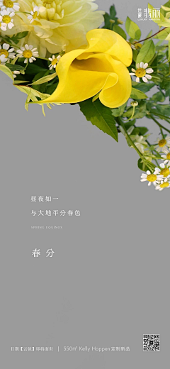 语盼采集到广告海报设计