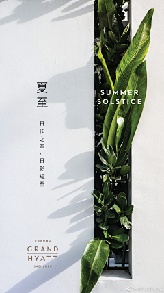 阿奇啊是我采集到节日节气