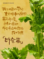 写过果蔬的情书！创意满满｜灵感分享 - 小红书