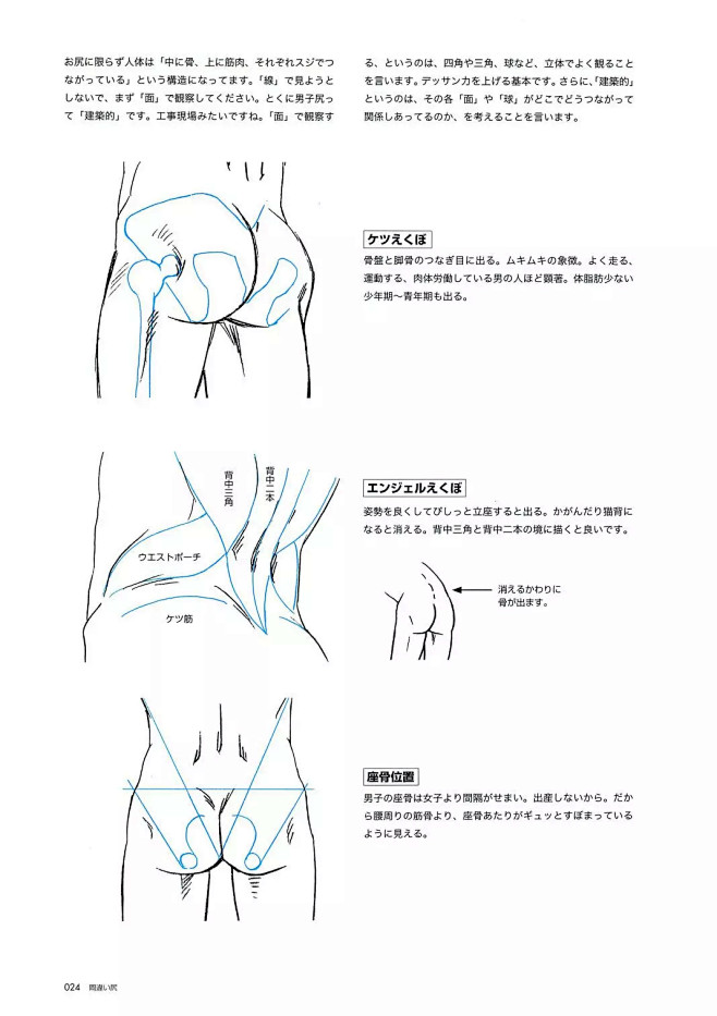【教程】男子屁股臀部画法技巧